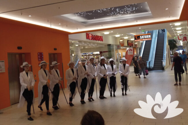 Seniorenwoche im Dessau Center